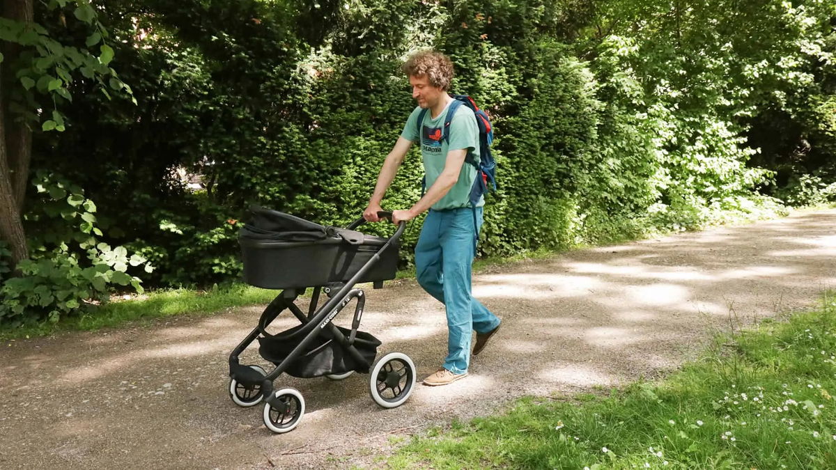 bio dünger für gurken Flüssigdünger für Gurken