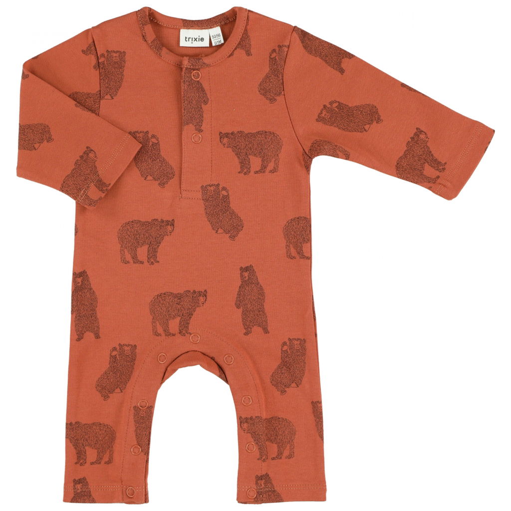 Brave Bear