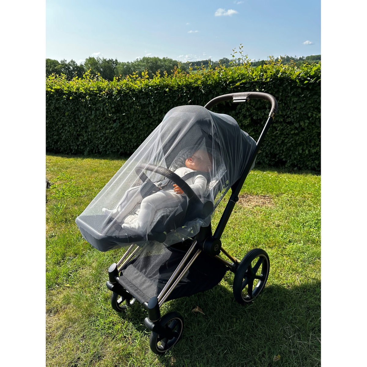 dünger blau 5Kg Blaukorn/Volldünger für sämtliche Gartenkulturen