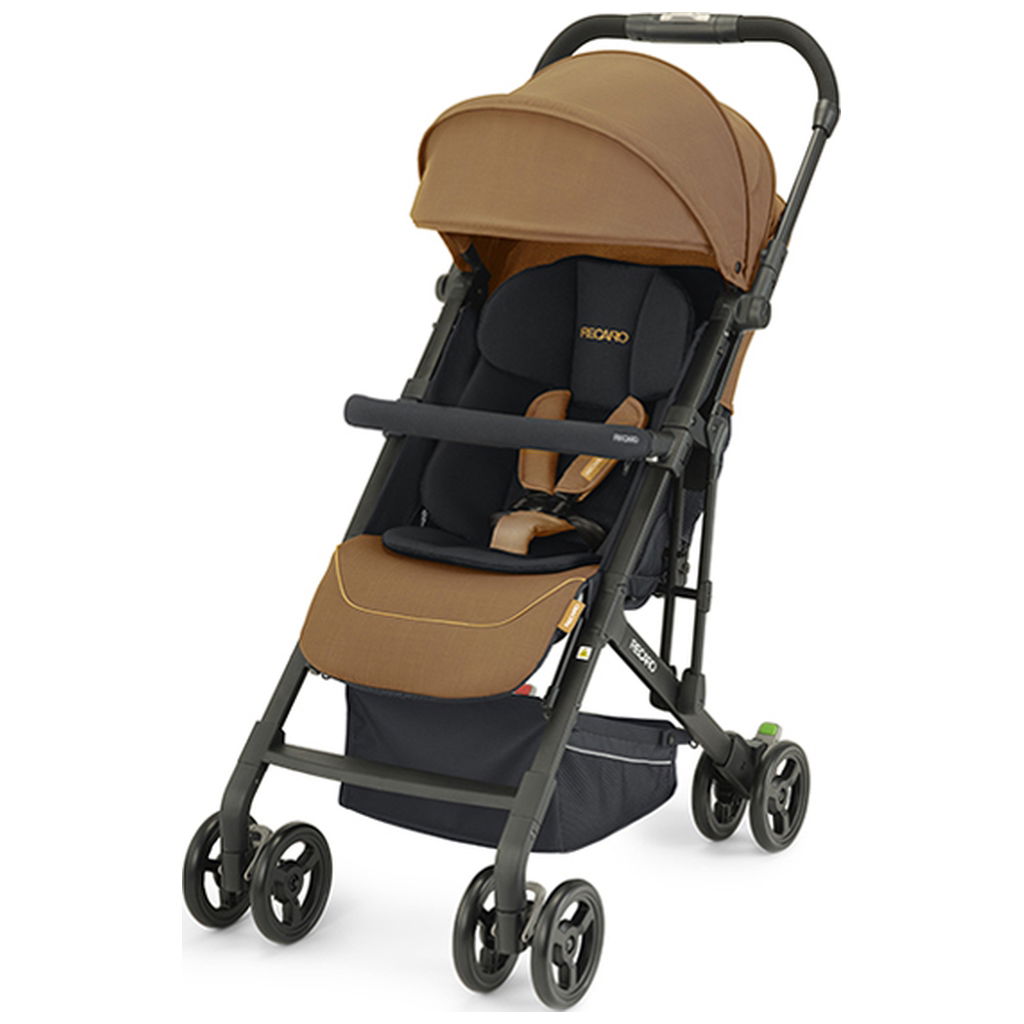 Canopy 2024 recaro easylife