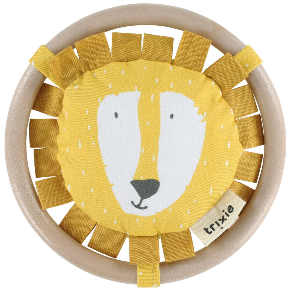 Mr. Lion