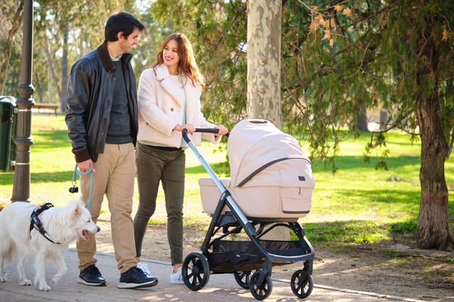 4mybaby Blog: Tipps fr ein glckliches Zusammenleben von Hund & Baby
