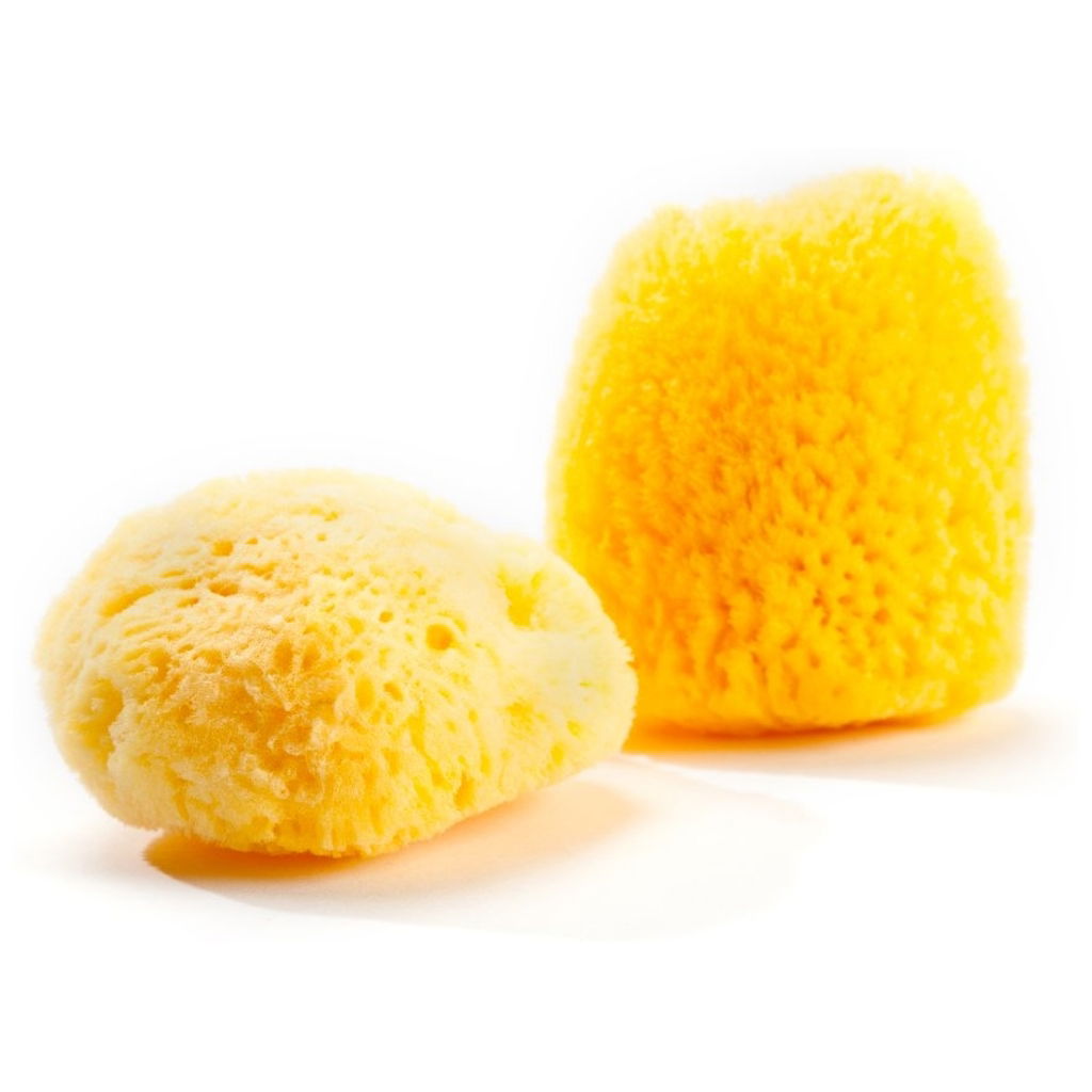 Grünspecht Éponge naturelle 1 pièce