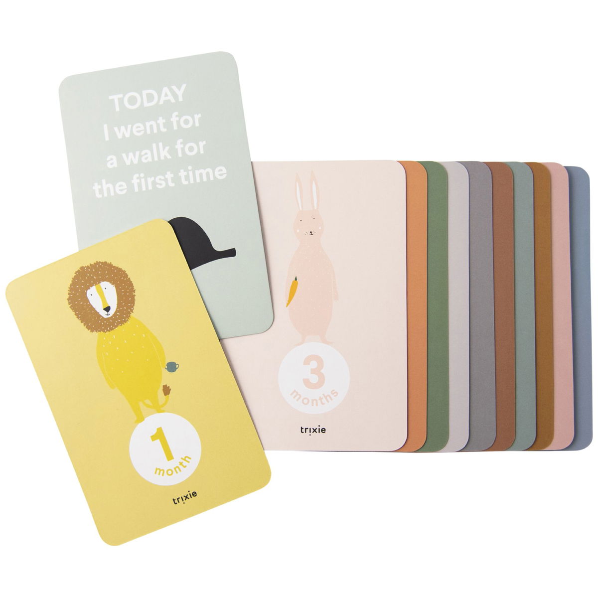 Product Image for trixie Milestone cards